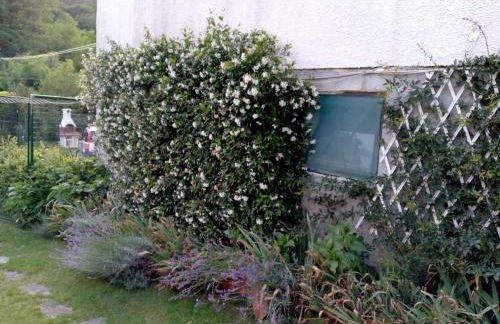 L'Erbetta fra le Cinque Terre e la Val di Vara - Photo 49