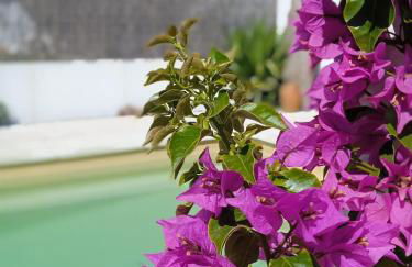 Monte das Pedras - Foto 49