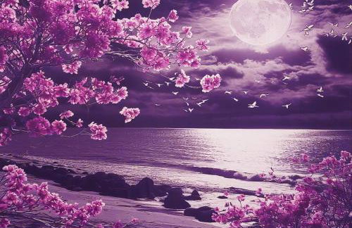 Summer Dreams Residence Digeliotika Beach - Foto 15