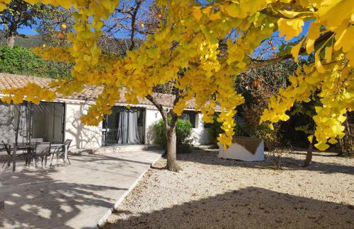 Terre de Lumière 3 - Foto 23