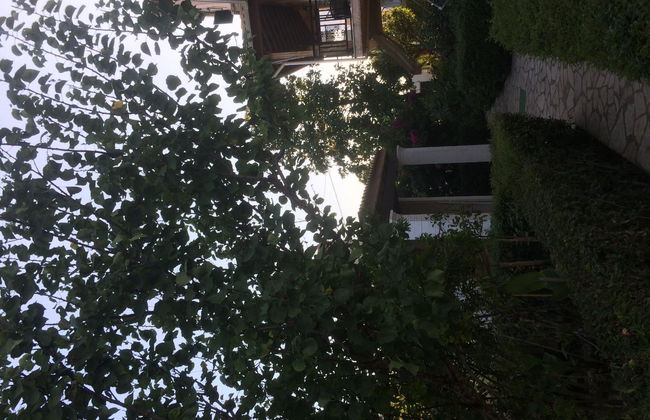 Villa Nefeli - Foto 14