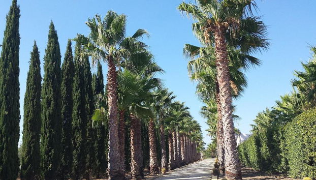 Agrisicilia - Foto 2