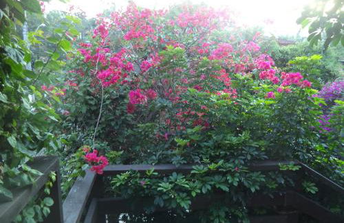 Chalés Xibayka Ilhabela - Foto 29