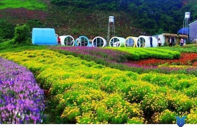 Homestay Lang Che 69 - Foto 26