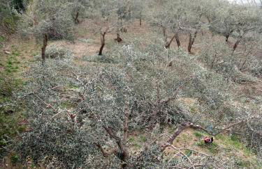 Agriturismo Cele - Foto 29