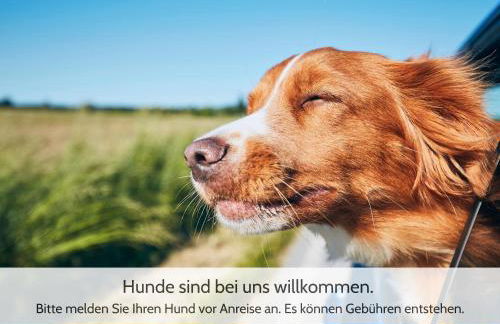 Harzvorland-Auszeit für 2 & Hund & Natur inklusive - Foto 10