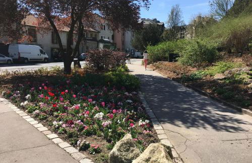 L'appart des Tanneurs - Foto 19