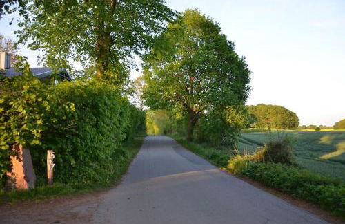 Ferienhaus Hof Papenwohld - Naturpark, Gartensauna - Foto 67