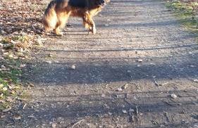 Helles Dachgeschoss-Appartement - Foto 14