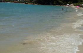 Acácia Jurerê - Foto 38