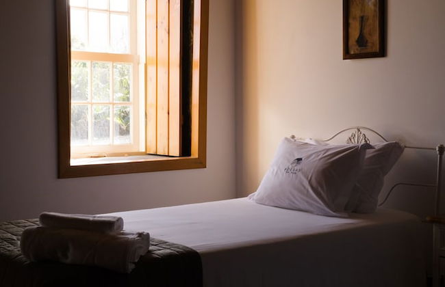 Adegas do Pico - Foto 31