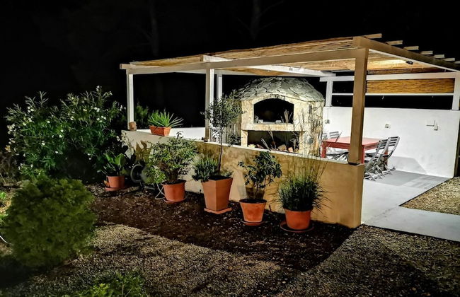 Dino - Gorgeous Garden - SA1 Zavala - Photo 34