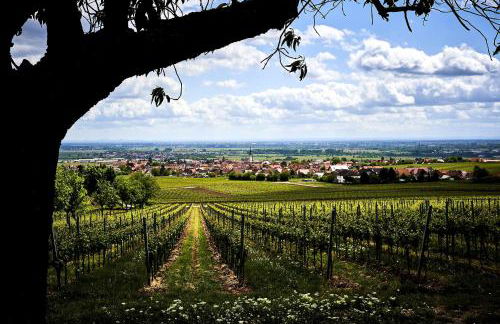 Tolle Wohnung für 5 Personen - Foto 1