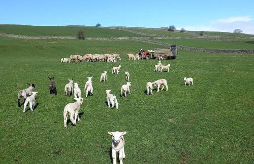 Henry's Cottage - Foto 4