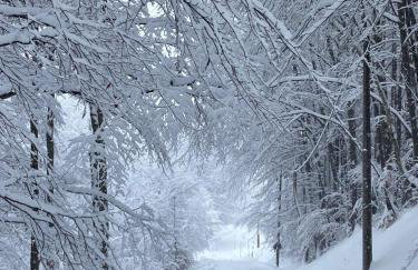 Rifugio Futopia - start here your journey to the discovering of the Alpi Graie - Foto 47