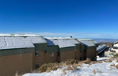 Biznaga Nevada - Foto 41