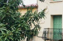 La Parenthèse - Photo 2