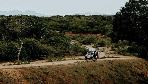 Recorreremos el Parque Nacional de Yala en un 4x4