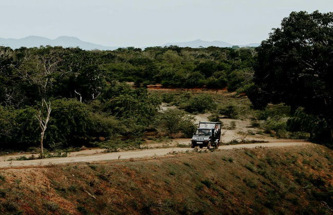 Safari privé dans le parc national de Yala - Photo 2