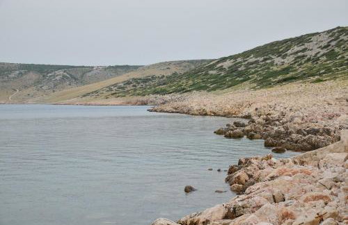 Apartment Olive - Foto 65