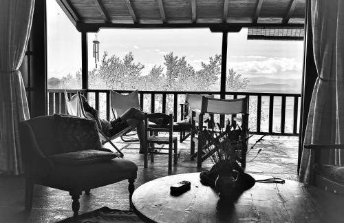 Olive Grove House - Foto 14