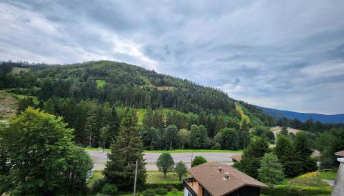 La Bresse Nature and Glisse - Foto 3