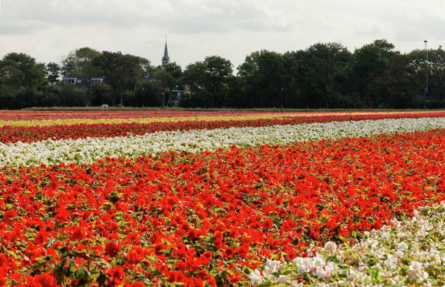 Apartment Sint Maartensbrug Near Beach - Foto 29