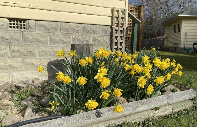 Giants Table and Cottages - Foto 50