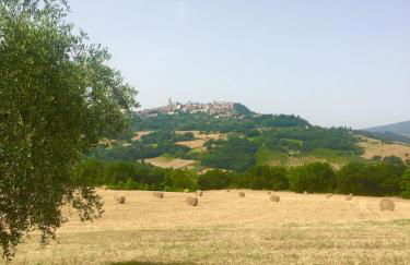 Colle Costanza - Foto 6