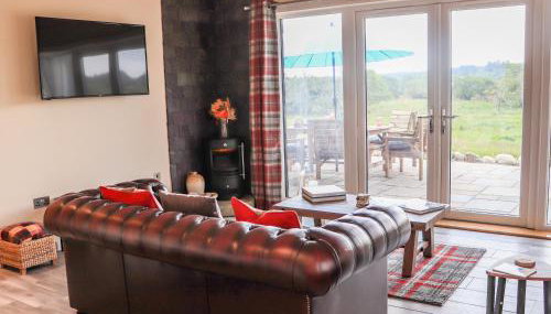 Pine Marten - Photo 5