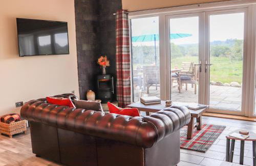 Pine Marten - Foto 5