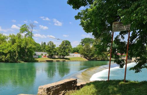 Happy Sparrow - Foto 61