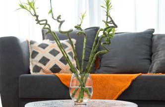 Colorful city apartment - Photo 17