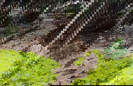 Devoted Hoestel in Cancun With Equipped Kitchen, Pool, Close to Beaches & More! - Photo 27