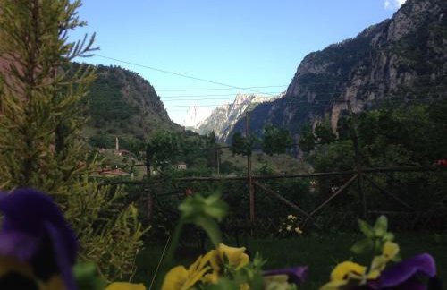 Artemis Apartments - Photo 45