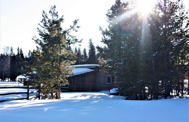 Woodhouse Cottages and Ranch - Foto 9