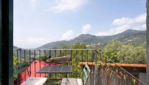 Green Cactus House - Foto 5