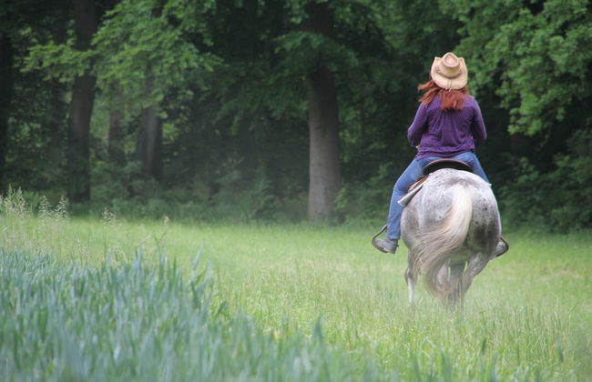 Wegekaten - Ferienwohnungen unter Reet - Foto 23