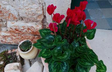 Casa Porta Verde - Photo 7