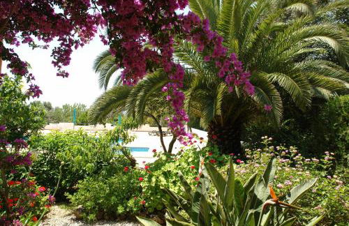 Feliz Apartments - Foto 80