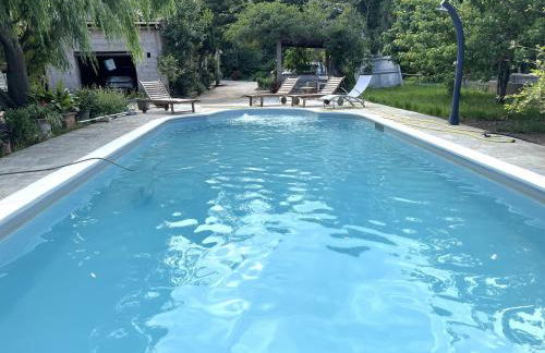 FURIANI Appartement avec Piscine dans Villa - Foto 15