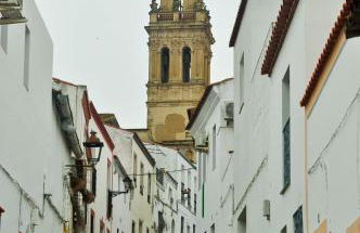 Apartamento Plaza de Toros - Foto 21