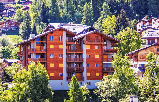 Les Chouettes 1 - Photo 2