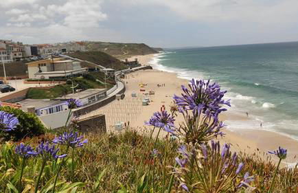 Ribeiro house - Foto 29