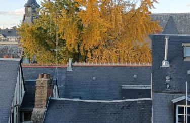 L'âme de la Renaissance Plumereau - PARKING PRIVÉ - Foto 15