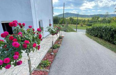Apartman Antonio - Foto 1
