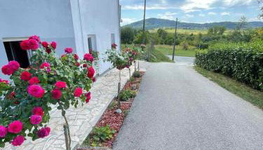 Apartman Antonio - Foto 1