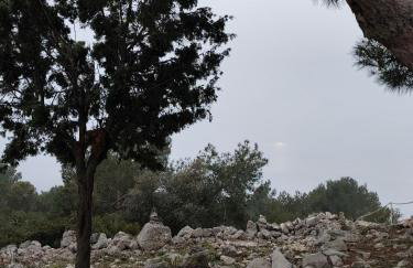 App Bonić - Foto 10