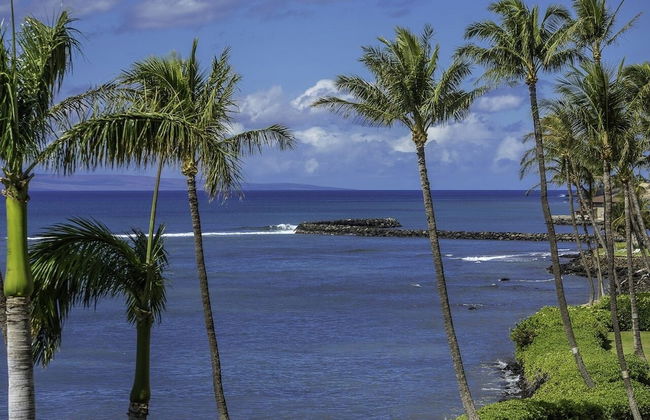 Maalaea Banyans 217 1 Bedroom Condo - Photo 47
