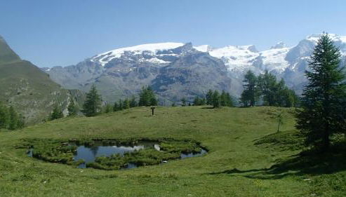 Champoluc Apartment - Foto 5